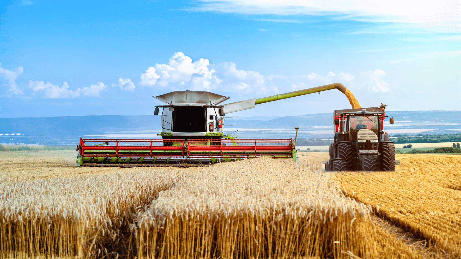 AGRICULTURE